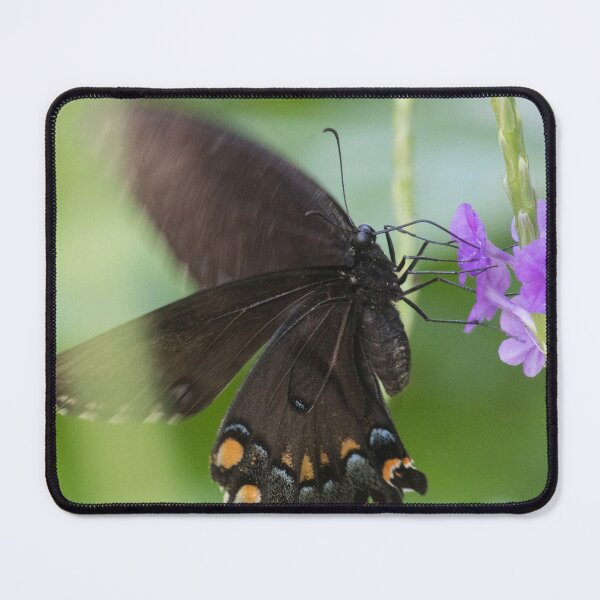 Item preview, Swallowtail Series designed and sold by Jacquelie.
