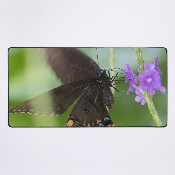 Item preview, Swallowtail Series designed and sold by Jacquelie.