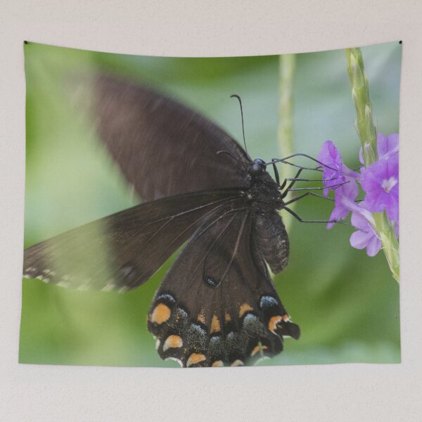 Item preview, Swallowtail Series designed and sold by Jacquelie.