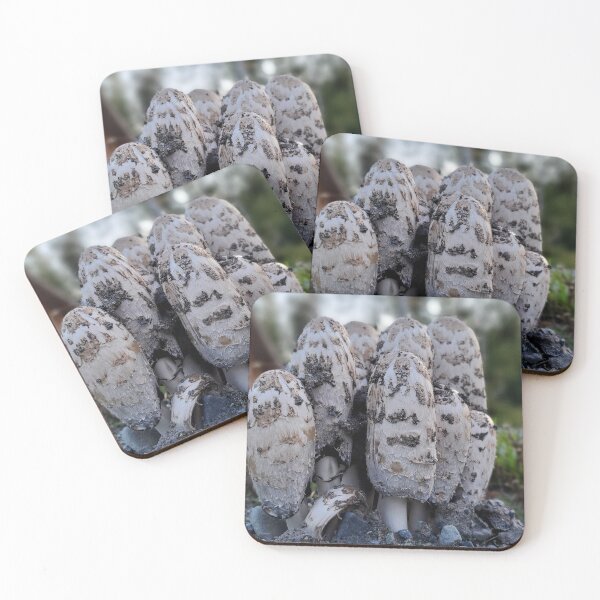 Item preview, Shaggy Manes designed and sold by TJs-Wild-World.