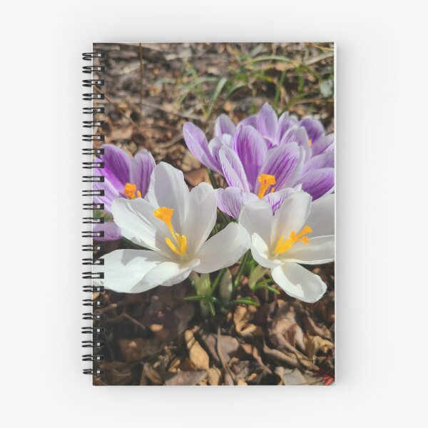 Item preview, Crocus designed and sold by TattoosandMore.