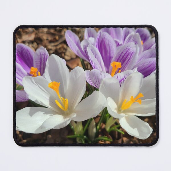 Item preview, Crocus designed and sold by TattoosandMore.