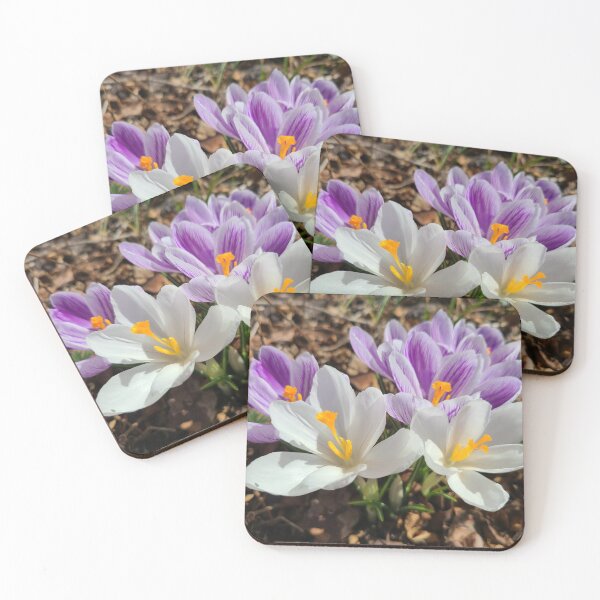 Item preview, Crocus designed and sold by TattoosandMore.