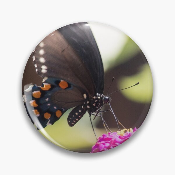 Item preview, Swallowtail Series II designed and sold by Jacquelie.