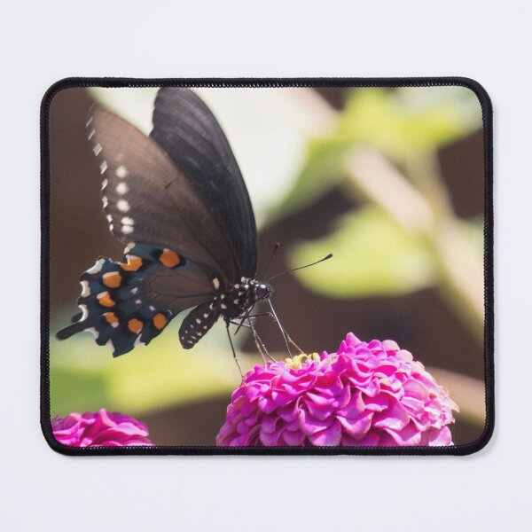 Item preview, Swallowtail Series II designed and sold by Jacquelie.