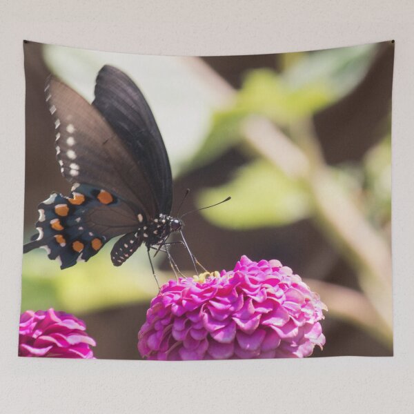 Item preview, Swallowtail Series II designed and sold by Jacquelie.