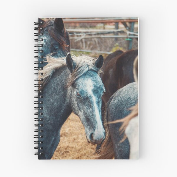 Item preview, Horses on the Land designed and sold by ElishaKayne.