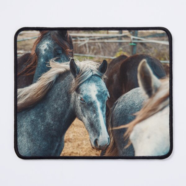 Item preview, Horses on the Land designed and sold by ElishaKayne.