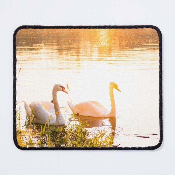 Item preview, Swans at Sunset designed and sold by ElishaKayne.