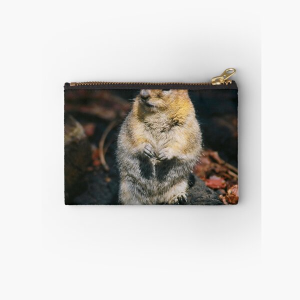Item preview, Golden Mantal Ground Squirrel designed and sold by Nancy Stafford.