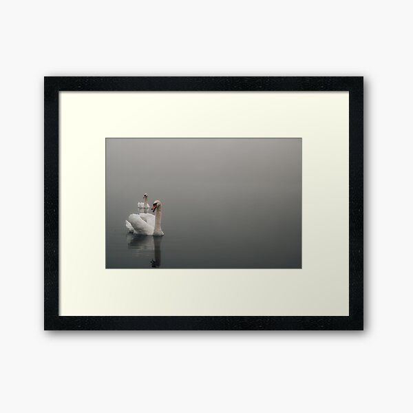 Item preview, Paire de cygnes sur le lac Grey designed and sold by ElishaKayne.