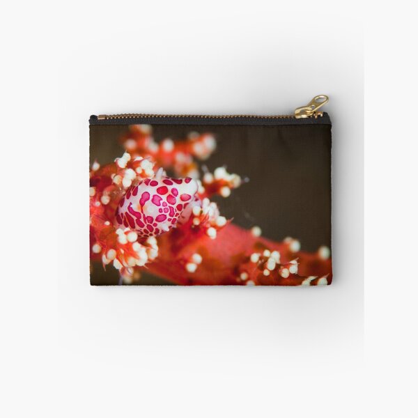 Item preview, Cowrie shell - Lembeh Strait  designed and sold by Stephen Colquitt.