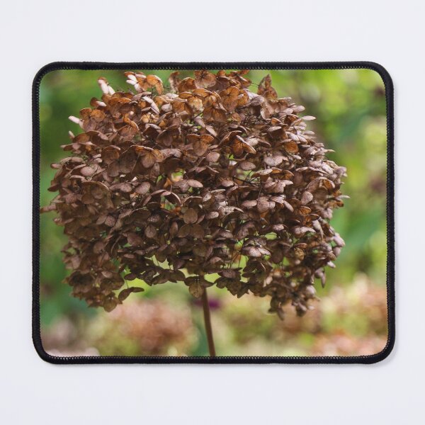Brown Hydrangea Flower Mouse Pad