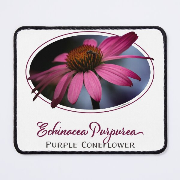 Coneflower with Bug Mouse Pad