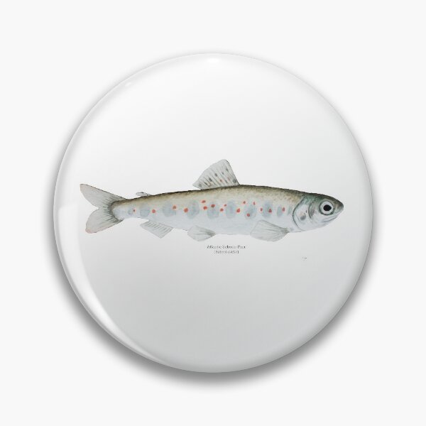 Item preview, Atlantic Salmon Parr designed and sold by Stephen Emms.