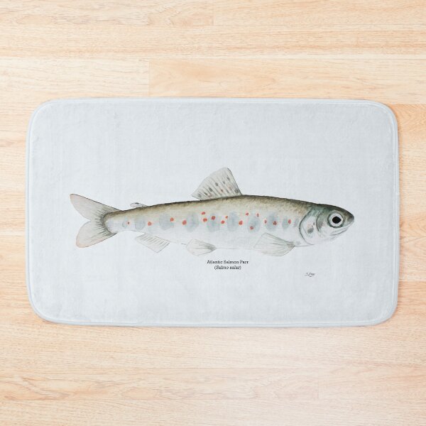 Item preview, Atlantic Salmon Parr designed and sold by Stephen Emms.