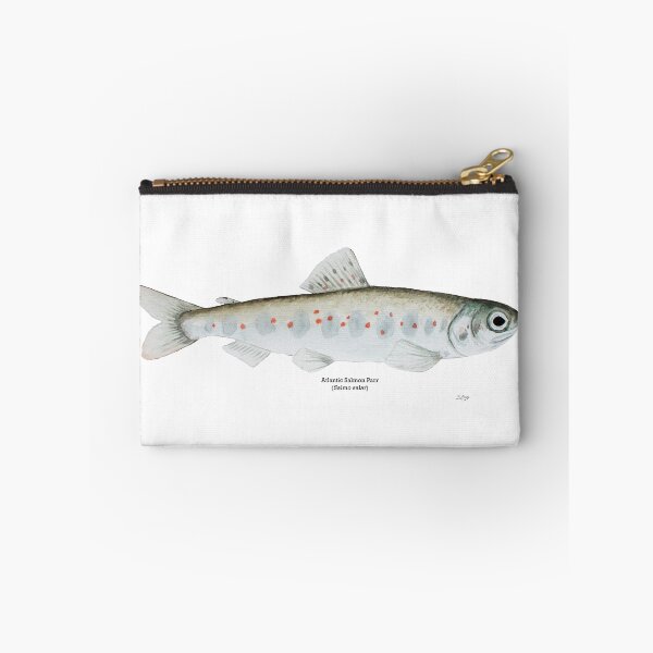 Item preview, Atlantic Salmon Parr designed and sold by Stephen Emms.