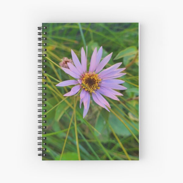 Indivual Beauty Spiral Notebook