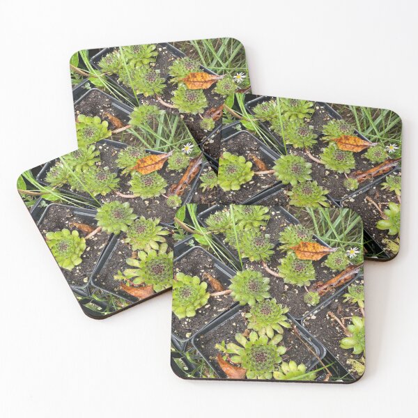 Item preview, Organic designed and sold by Chevely.