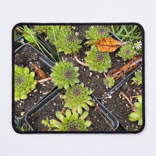 Item preview, Organic designed and sold by Chevely.