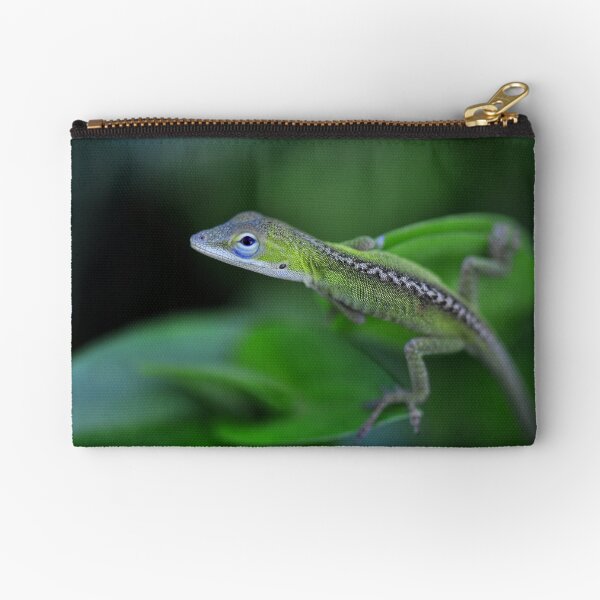 Baby Anole Lizard Zipper Pouch