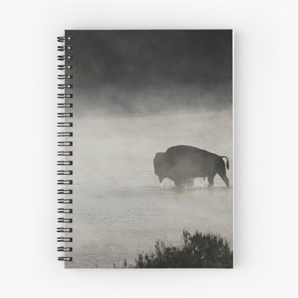 Item preview, Black and White Buffalo photograph designed and sold by ElishaKayne.