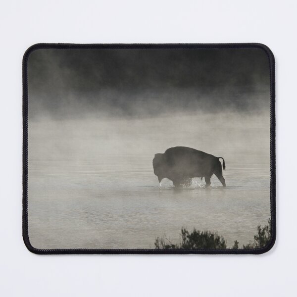 Item preview, Black and White Buffalo photograph designed and sold by ElishaKayne.