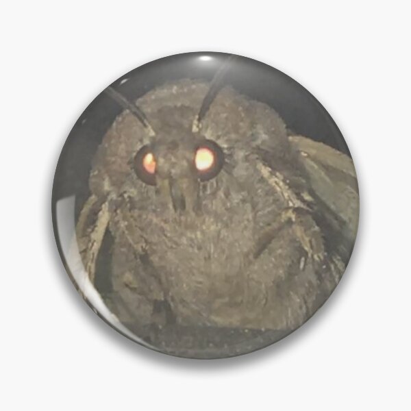 Item preview, Moth meme designed and sold by Meme Economy.