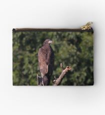 The Young Eaglet Profile Studio Pouch
