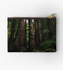 Ocean View Trail, Muir Woods (8/15/2010) Studio Pouch