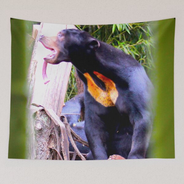 Item preview, Sun Bear designed and sold by Victoria  Cook.