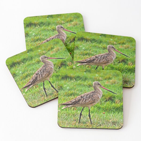 Item preview, Marbled Godwit Standing Tall designed and sold by BackyardBirder.