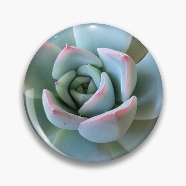 Item preview, Beauty in the eye of the SucculentLover designed and sold by HighMntDwellerz.