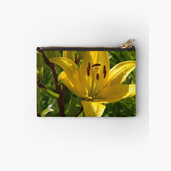 Aperçu de l'œuvre Yellow Asiatic Lily créée et vendue par John Honeyman.