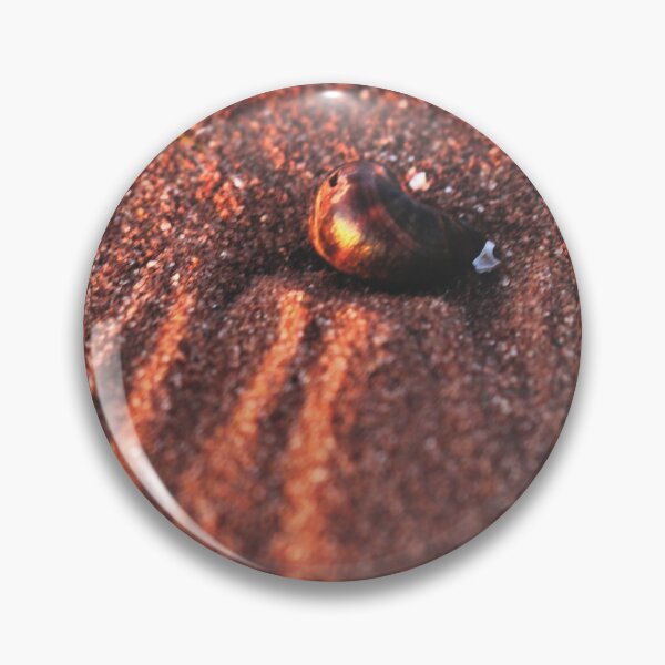 Item preview, Common Periwinkle Shell (Littorina littorea) designed and sold by Kathleen Daley.