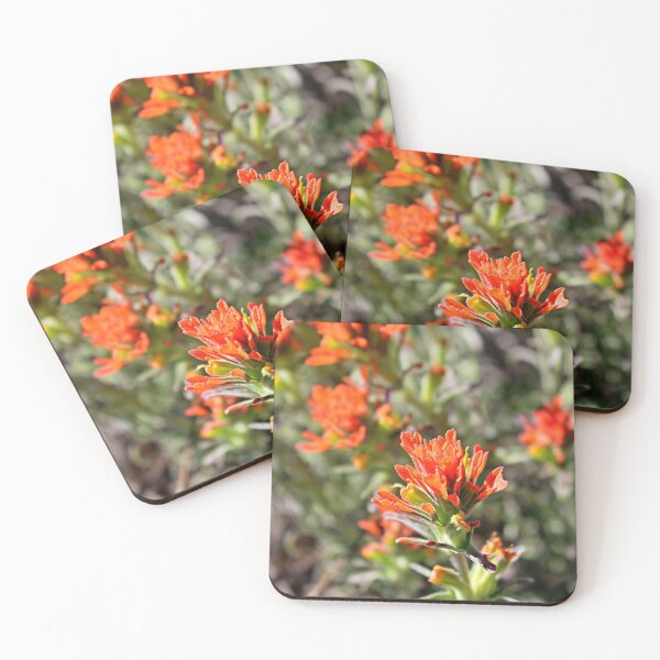 Item preview, Indian Paintbrush, March designed and sold by Martha Sherman.