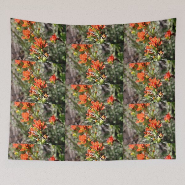 Item preview, Indian Paintbrush, March designed and sold by Martha Sherman.