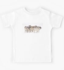 Dysfunctional Family - Timber Wolf Kids Tee