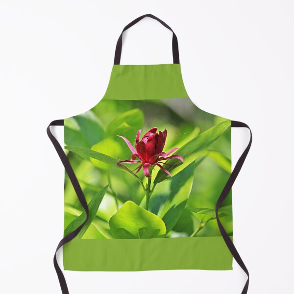 Item preview, Western Spice Bush Flower designed and sold by Martha Sherman.