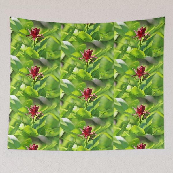 Item preview, Western Spice Bush Flower designed and sold by Martha Sherman.