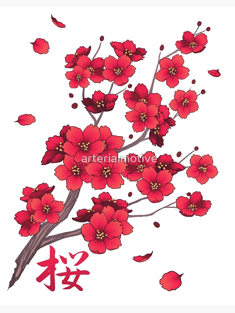 Lámina rígida «Caída de pétalos de flor de cerezo rojo Sakura» de  arterialmotive | Redbubble
