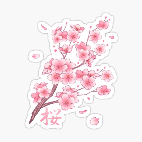 Falling Pink Sakura Cherry Blossom branches on white Sticker