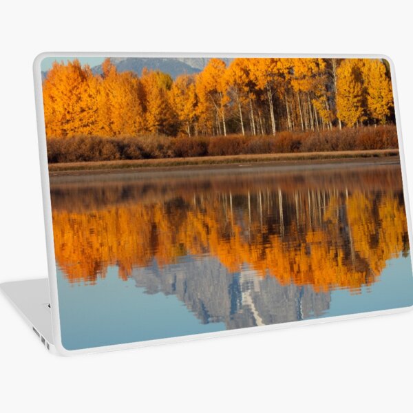 Aspen Grove Aflame At The Oxbow Laptop Skin