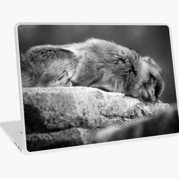 I Give Up Laptop Skin