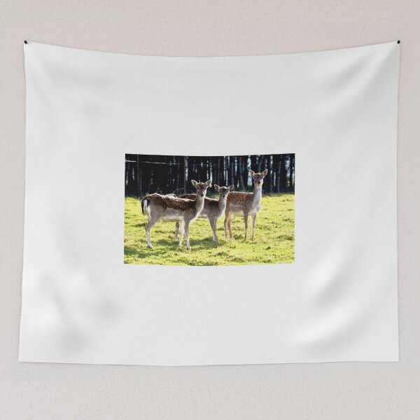 Item preview, Fallow deer / Daniel  (Dama dama)  ♀ designed and sold by MarekM.