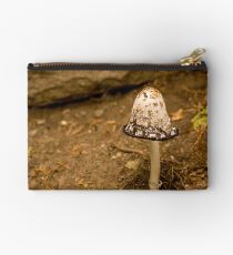Spotted Turbin Studio Pouch