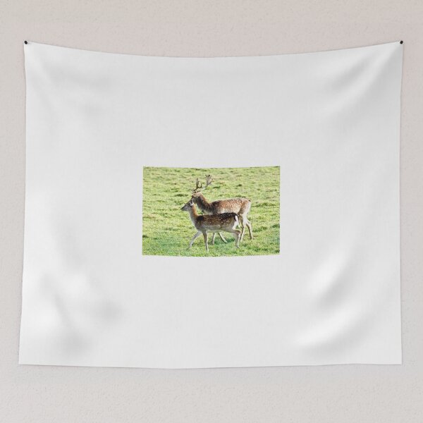 Item preview, Fallow deer / Daniel (Dama dama)  ♀   ♂ designed and sold by MarekM.