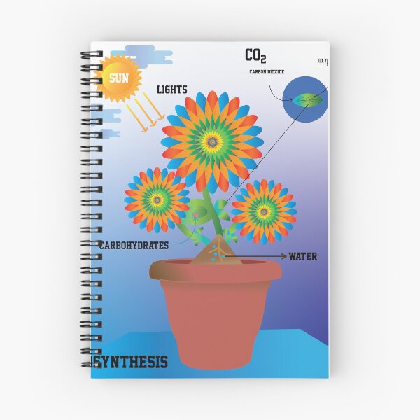 Item preview, photosynthesis designed and sold by KARTICK DUTTA.