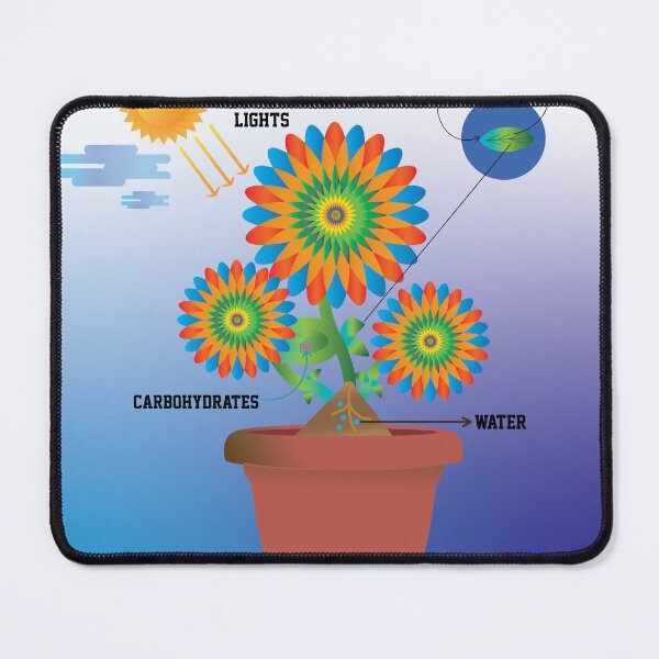 Item preview, photosynthesis designed and sold by KARTICK DUTTA.