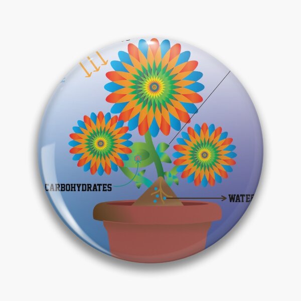 Item preview, photosynthesis designed and sold by KARTICK DUTTA.